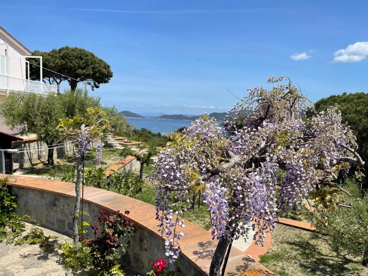 Il Roseto Redinoce